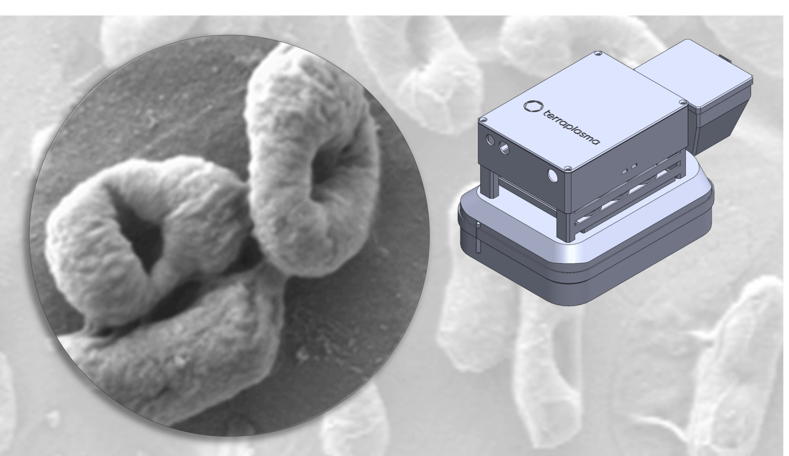 Aerosol-assisted cold plasma technology from terraplasma for ...